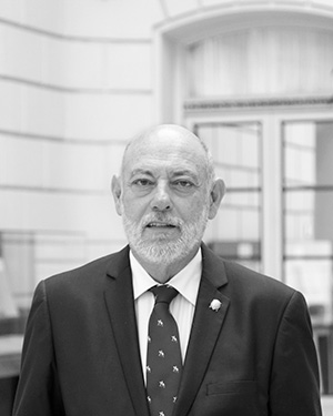 José Manuel Maza Martín