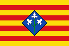 Bandera de Lleida