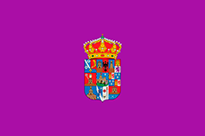 Bandera de Guadalajara