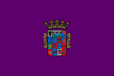 Bandera de Palencia