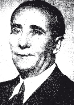 Excmo. Sr. D. Ildefonso Alamillo Salgado